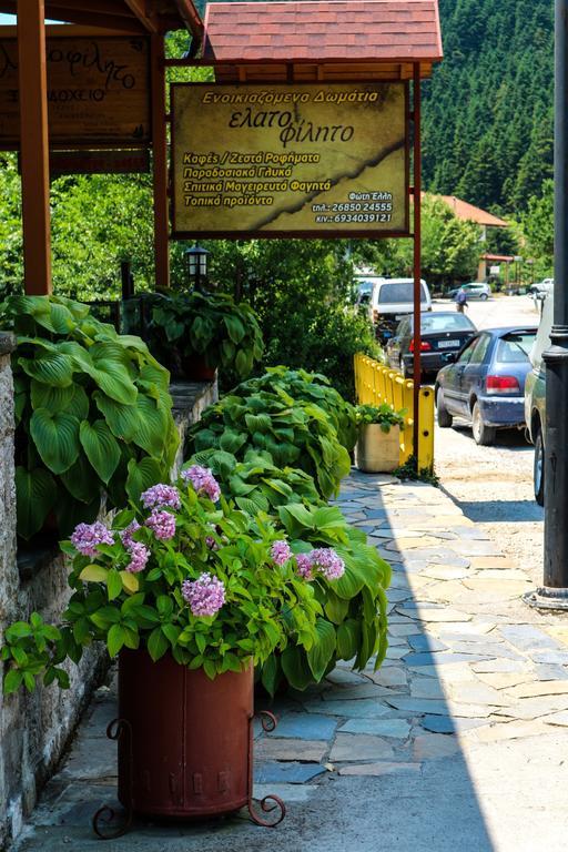 Hotel Elatofilito Athamanio Bagian luar foto