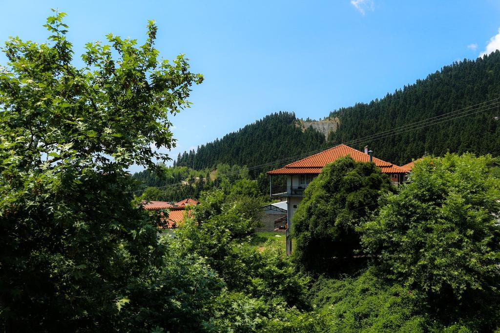 Hotel Elatofilito Athamanio Bagian luar foto